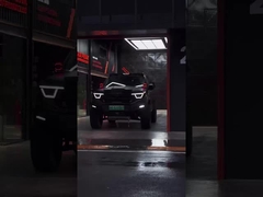 385Nm 185KW 252Ps 4WD 5 θέσεις 5 πόρτες 2.0T δεξαμενή 400 SUV Βενζίνη Καύσιμο Νέο αυτοκίνητο